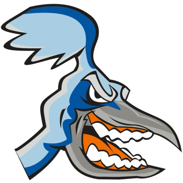 ROADRUNNER HD0504 RQC Thumbnail