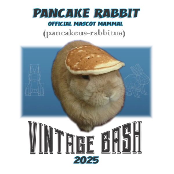 PANCAKE RABBIT Thumbnail